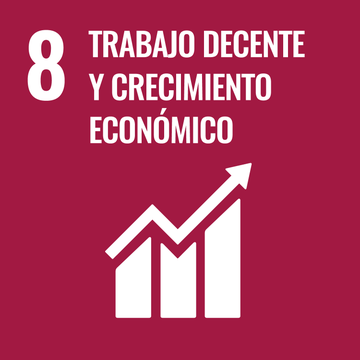 SDG 8